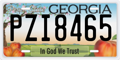 GA license plate PZI8465