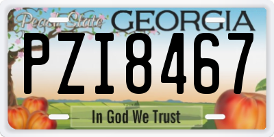 GA license plate PZI8467