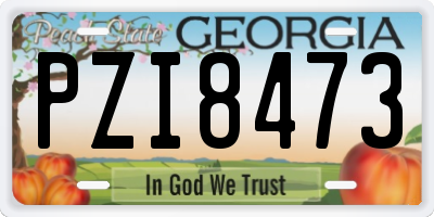 GA license plate PZI8473
