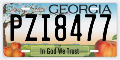 GA license plate PZI8477