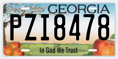 GA license plate PZI8478