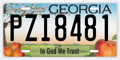 GA license plate PZI8481