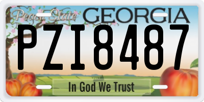 GA license plate PZI8487