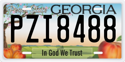 GA license plate PZI8488