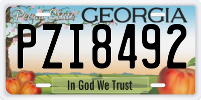 GA license plate PZI8492