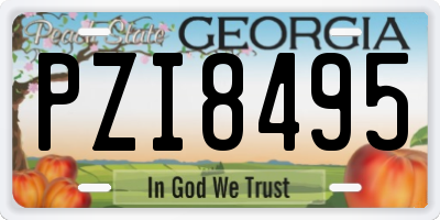 GA license plate PZI8495