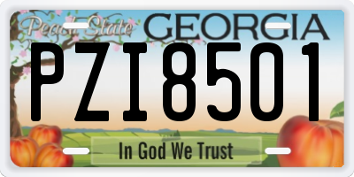 GA license plate PZI8501