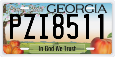 GA license plate PZI8511