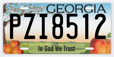 GA license plate PZI8512