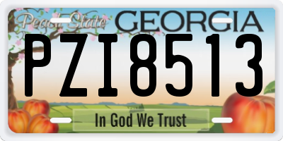 GA license plate PZI8513
