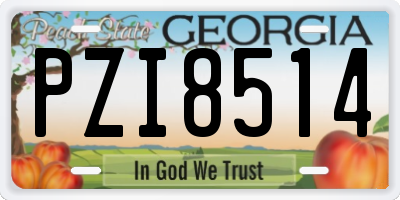 GA license plate PZI8514