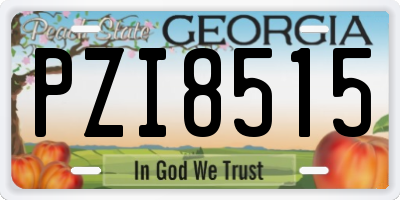 GA license plate PZI8515
