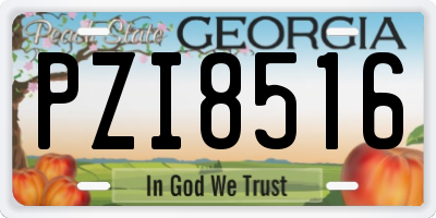 GA license plate PZI8516