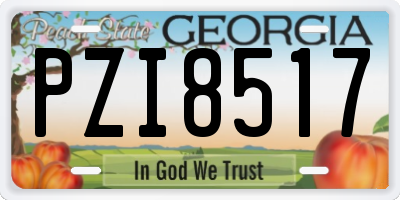 GA license plate PZI8517