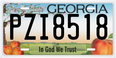 GA license plate PZI8518