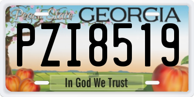 GA license plate PZI8519