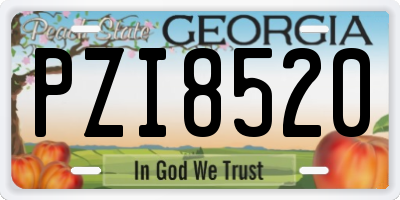 GA license plate PZI8520
