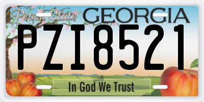GA license plate PZI8521