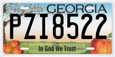 GA license plate PZI8522