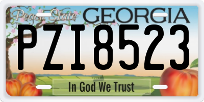 GA license plate PZI8523