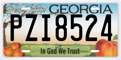 GA license plate PZI8524
