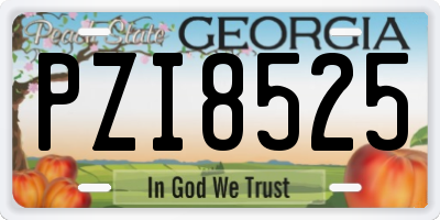 GA license plate PZI8525