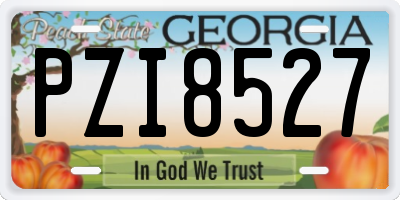 GA license plate PZI8527