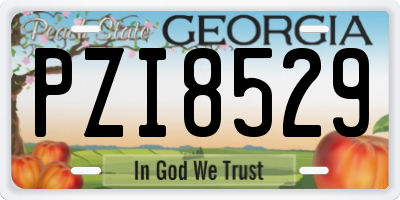 GA license plate PZI8529