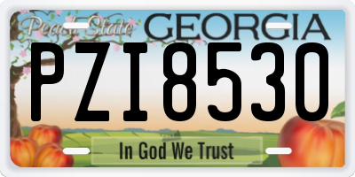GA license plate PZI8530