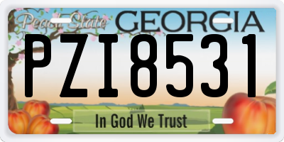 GA license plate PZI8531