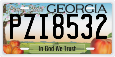GA license plate PZI8532