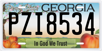 GA license plate PZI8534