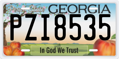 GA license plate PZI8535