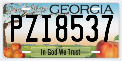 GA license plate PZI8537