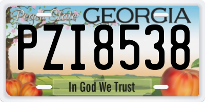 GA license plate PZI8538