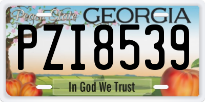 GA license plate PZI8539