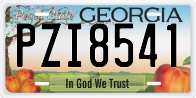 GA license plate PZI8541