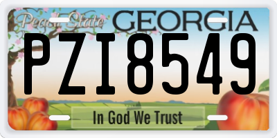 GA license plate PZI8549