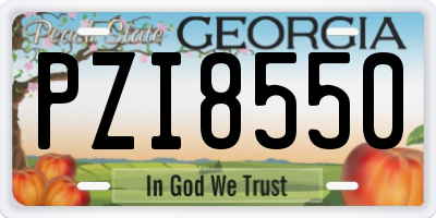 GA license plate PZI8550