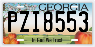 GA license plate PZI8553
