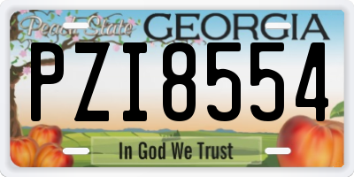 GA license plate PZI8554