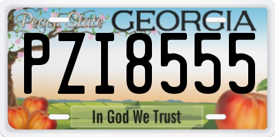 GA license plate PZI8555
