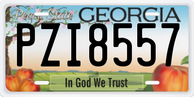 GA license plate PZI8557