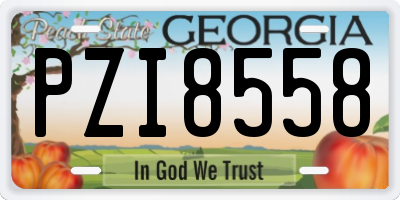 GA license plate PZI8558