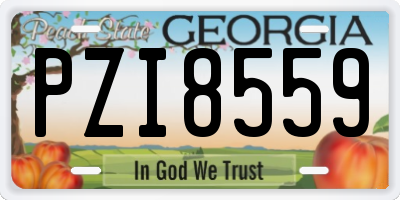 GA license plate PZI8559