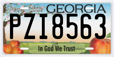 GA license plate PZI8563