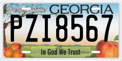 GA license plate PZI8567