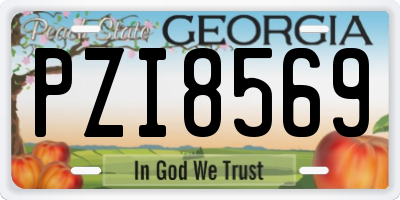 GA license plate PZI8569