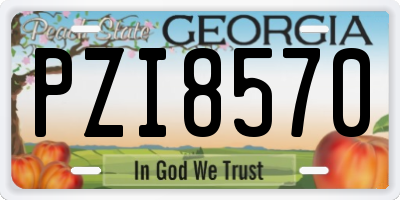 GA license plate PZI8570