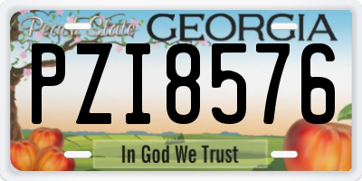 GA license plate PZI8576
